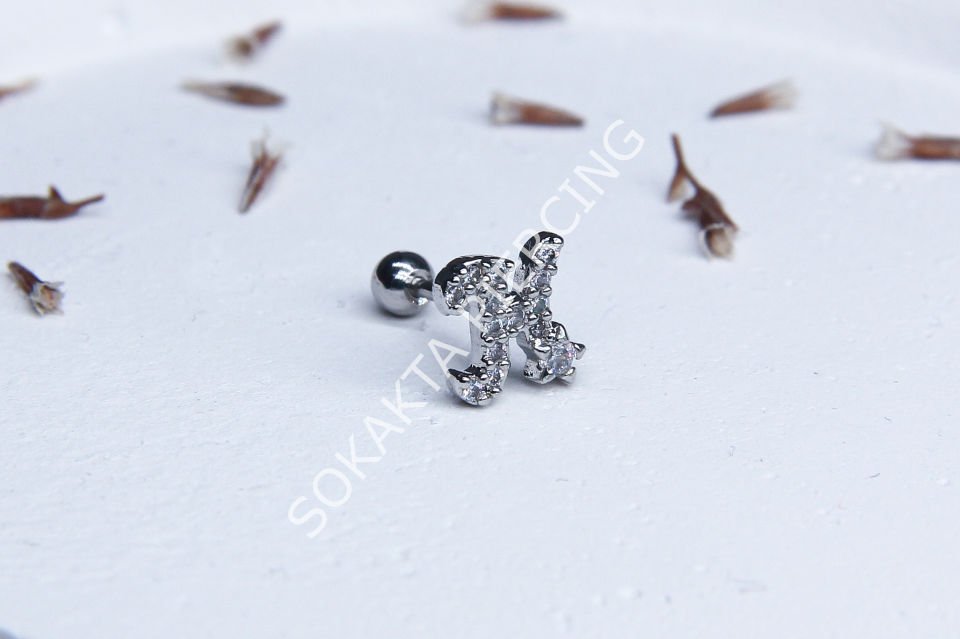 (H) HARF TRAGUS