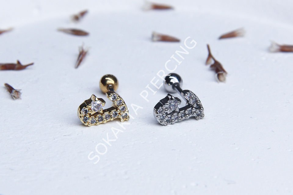 (J) HARF TRAGUS