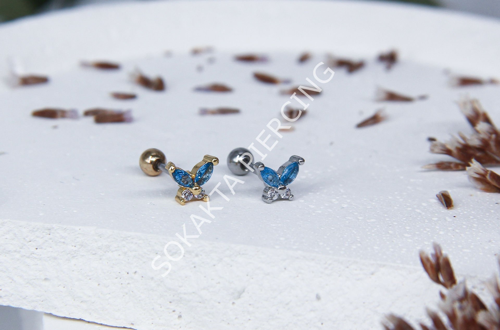 K43 - KELEBEK TRAGUS