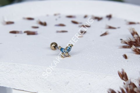 K43 - KELEBEK TRAGUS