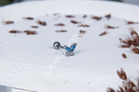 K43 - KELEBEK TRAGUS