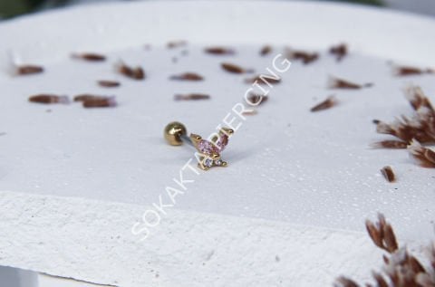 C22 - TRAGUS Silver