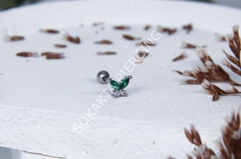 B35 - TRAGUS