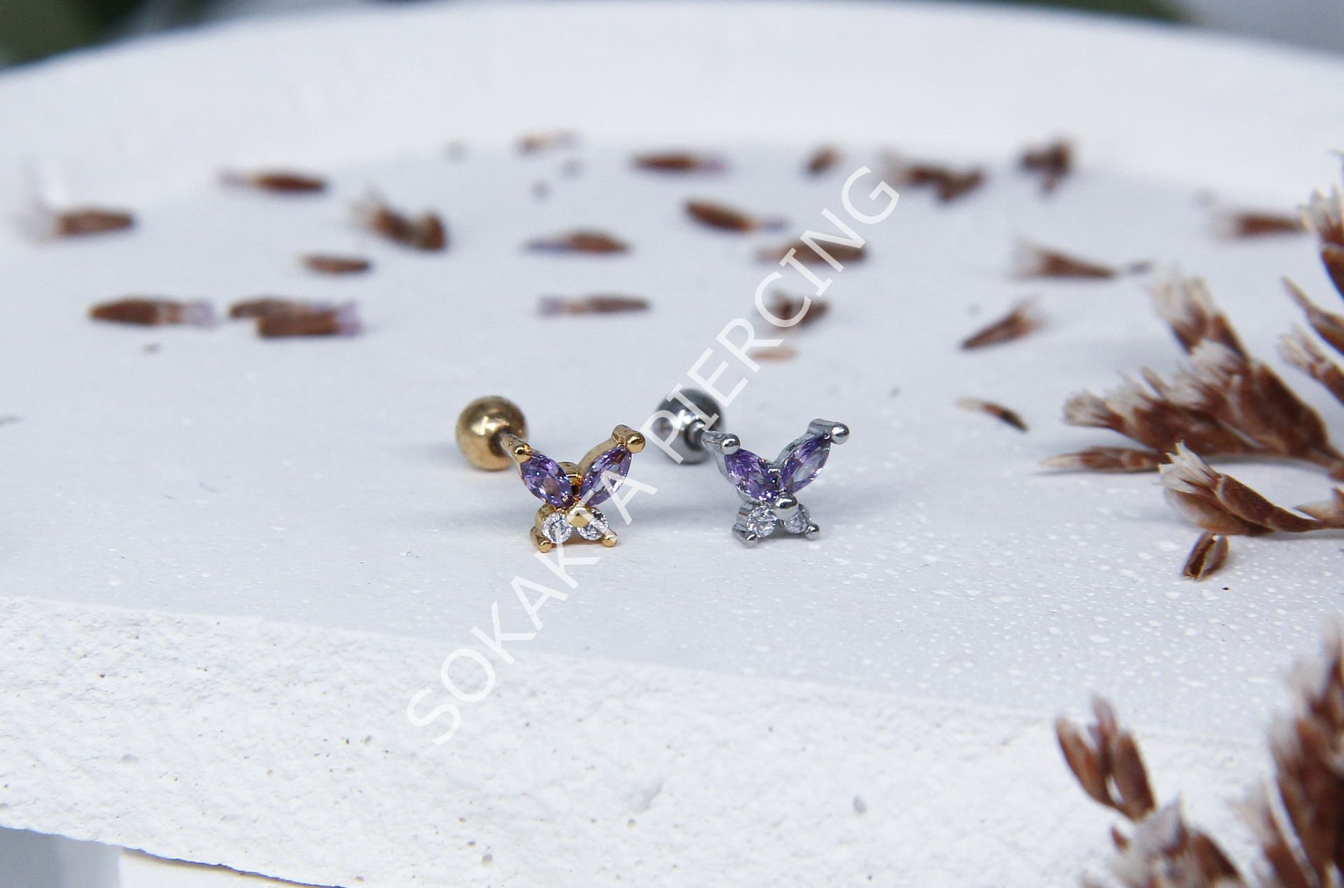 B34 - TRAGUS