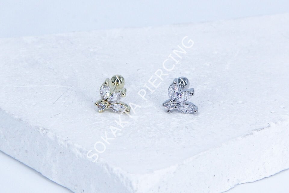 B89 - TRAGUS Silver