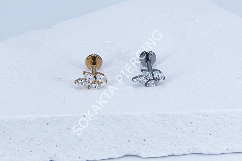 Z5-6 - TITANIUM TRAGUS