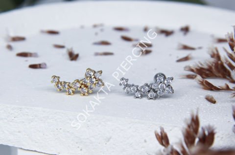 B95 - TRAGUS