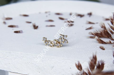 B95 - TRAGUS