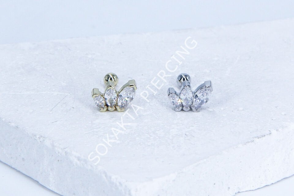 C27 - TRAGUS Silver