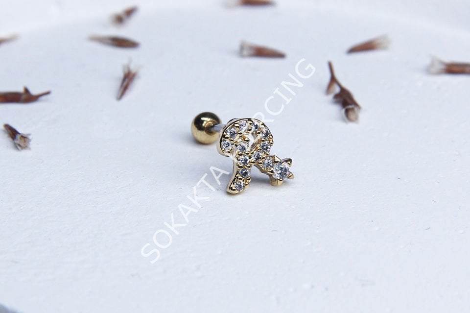(R) HARF TRAGUS