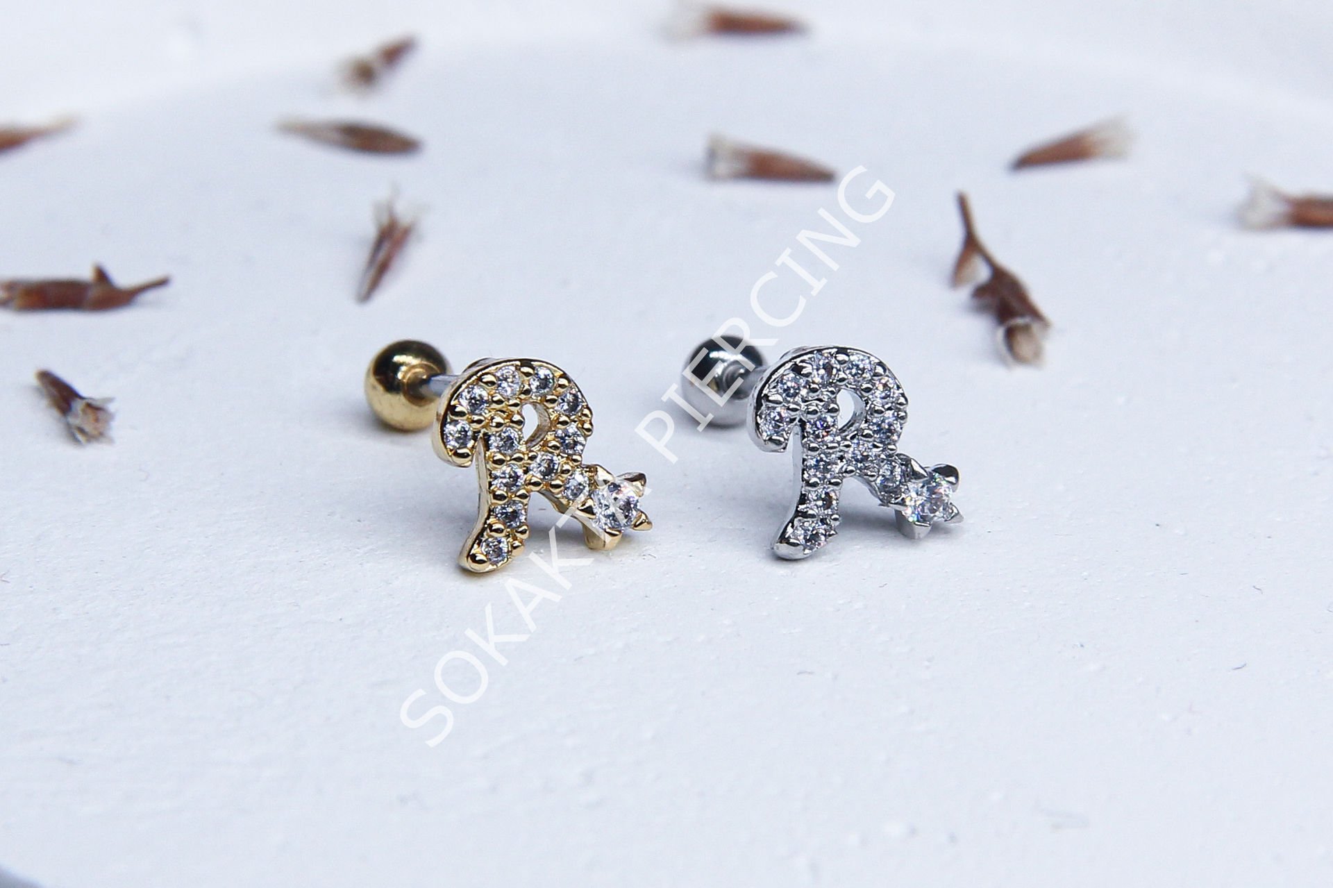 (R) HARF TRAGUS