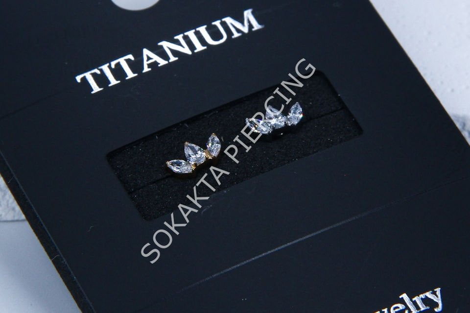 M17-18 - TITANIUM TRAGUS