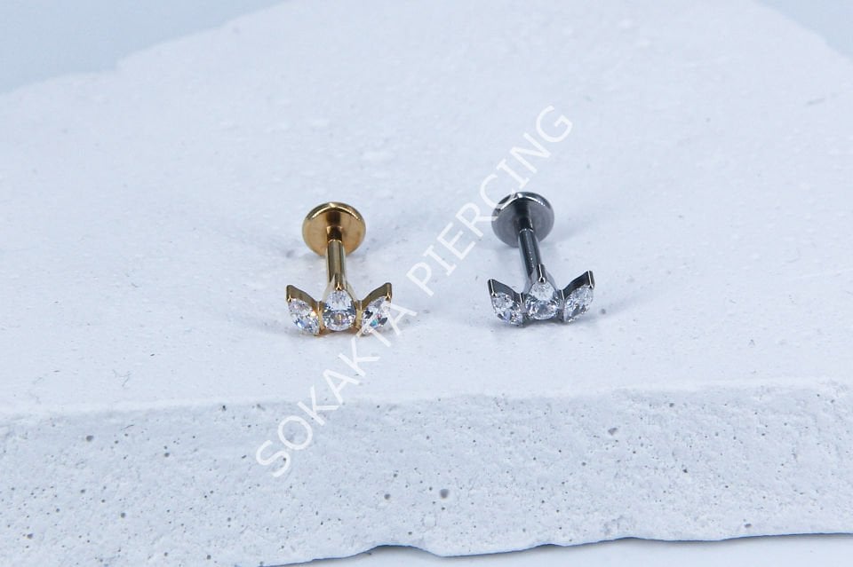 M17-18 - TITANIUM TRAGUS