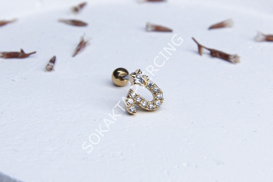 (U) HARF TRAGUS
