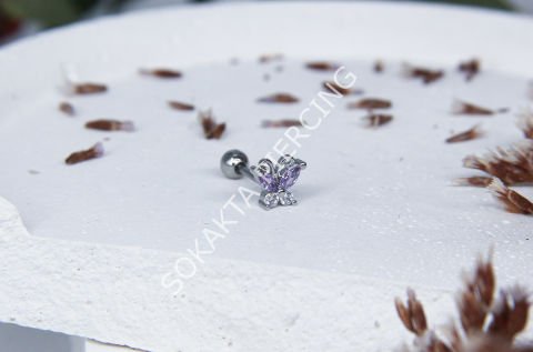Tragus 188