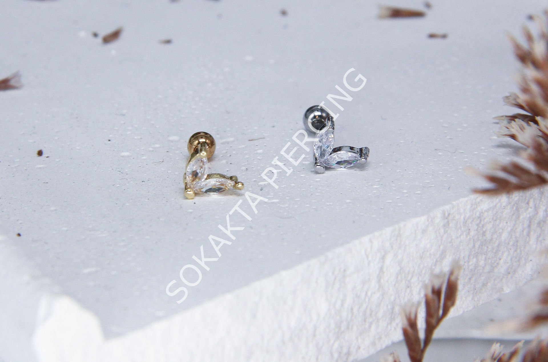 B60  - TRAGUS Silver