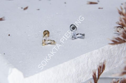 A65 - TRAGUS