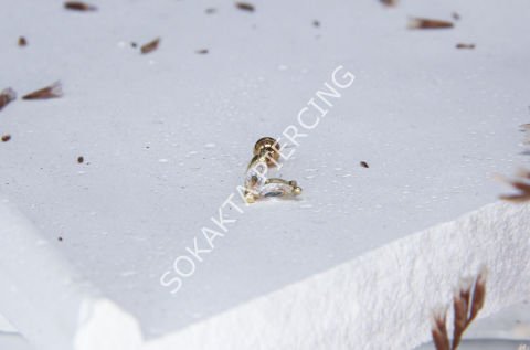 B60  - TRAGUS Silver