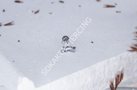 B60  - TRAGUS Silver