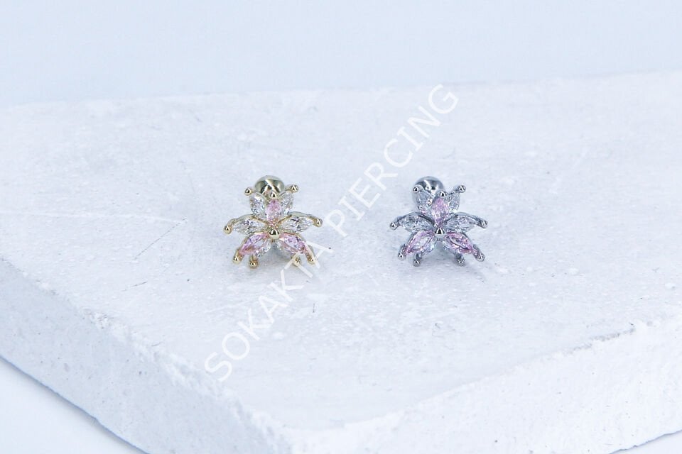 C95 - TRAGUS Gold