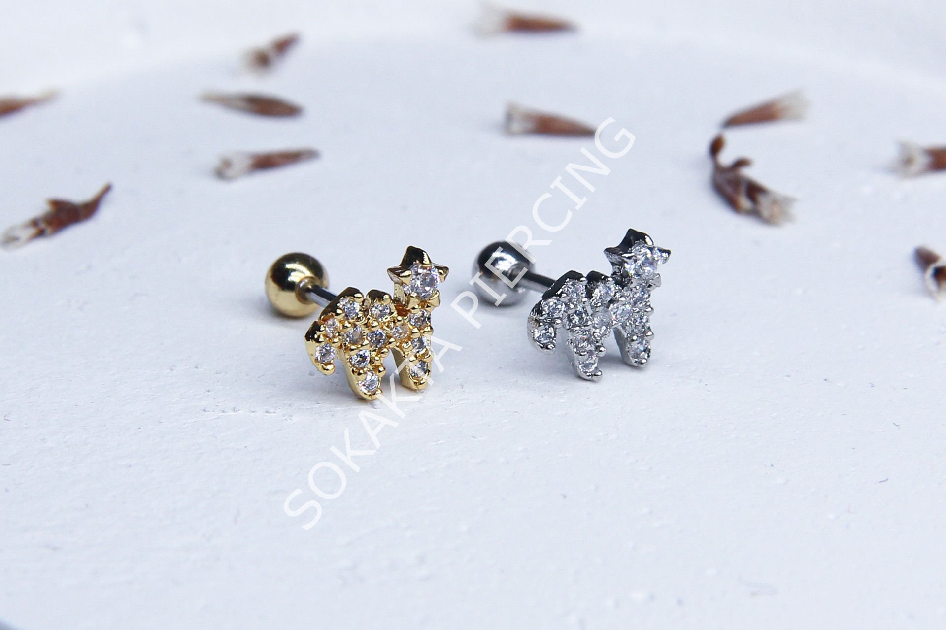 (W) HARF TRAGUS