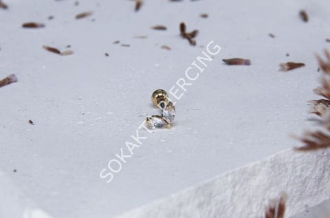 A38 - TRAGUS Silver