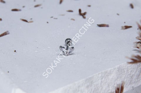 A38 - TRAGUS Silver