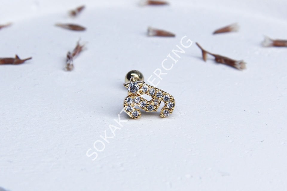(Y) HARF TRAGUS
