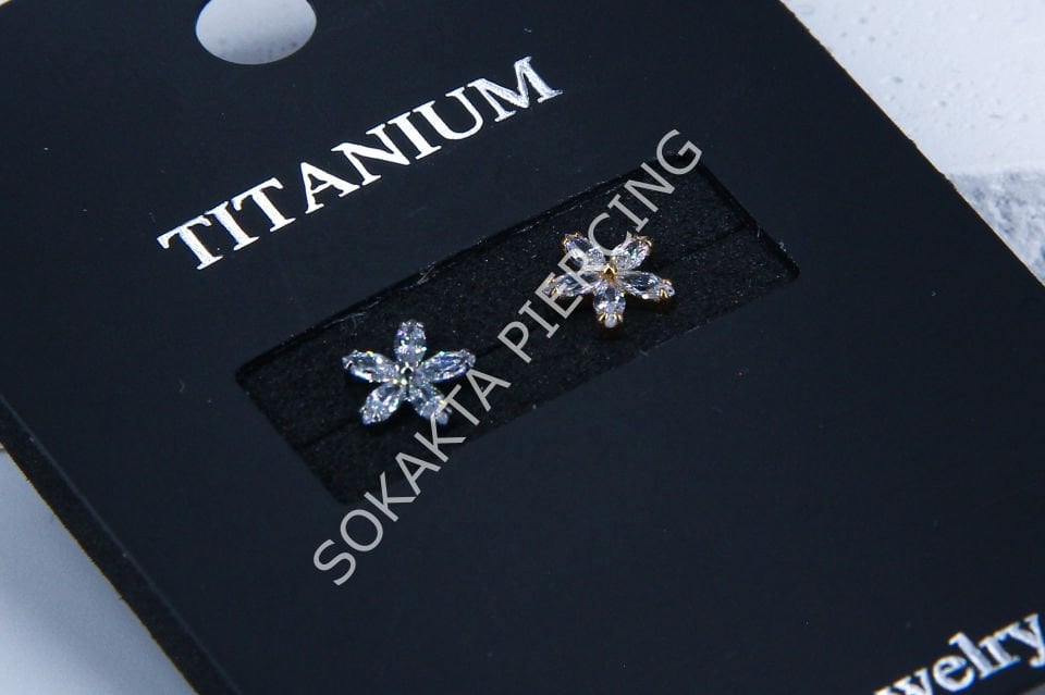 M13 - TITANIUM TRAGUS