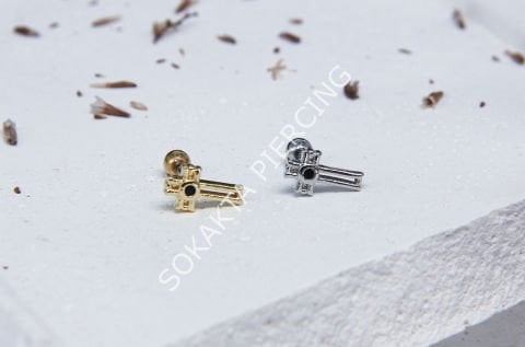 A11 - TRAGUS