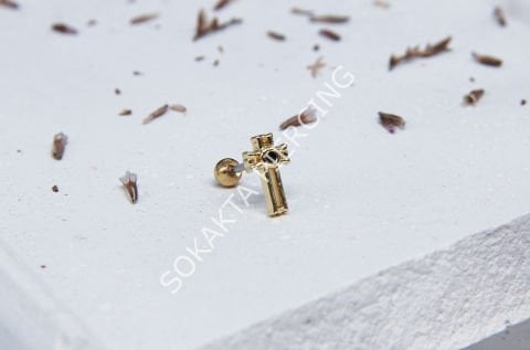 K4 - TRAGUS