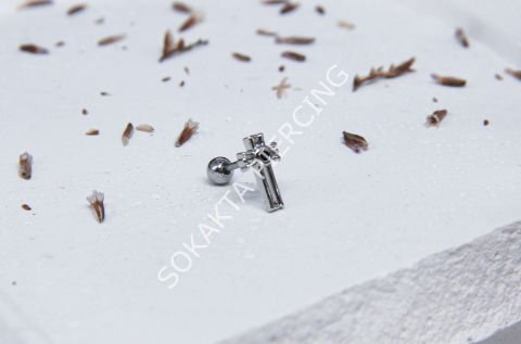 A11 - TRAGUS