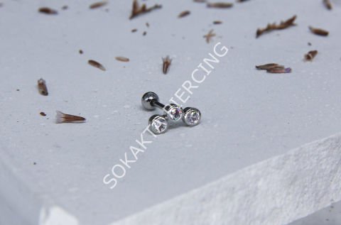 C11 - TRAGUS Silver