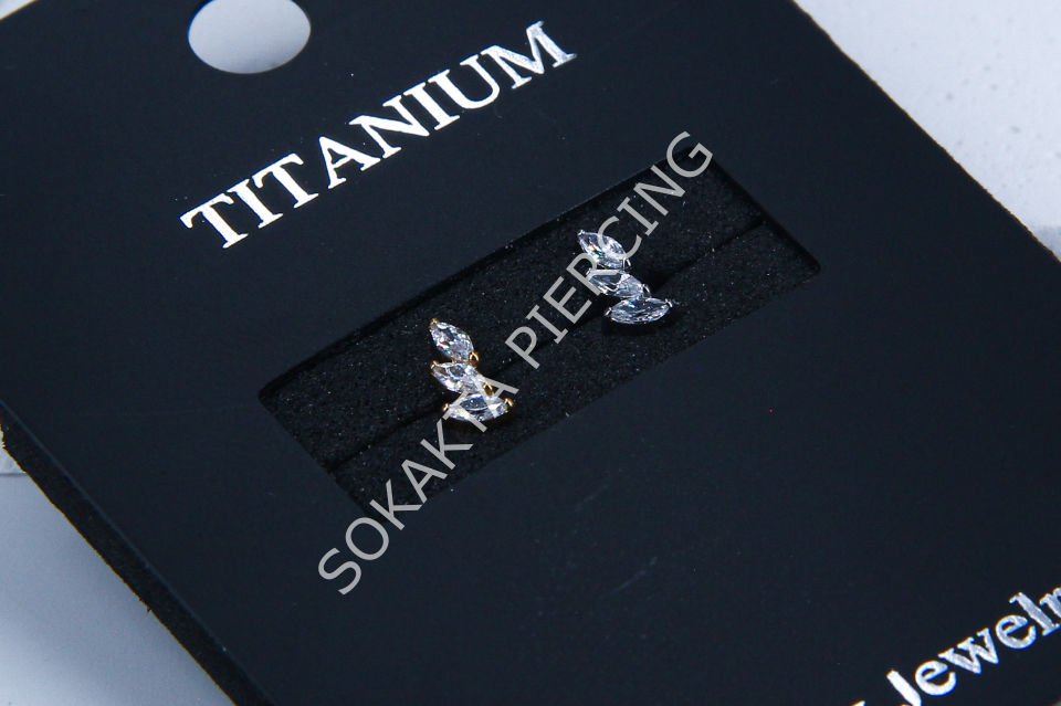 M23-24 - TITANIUM TRAGUS