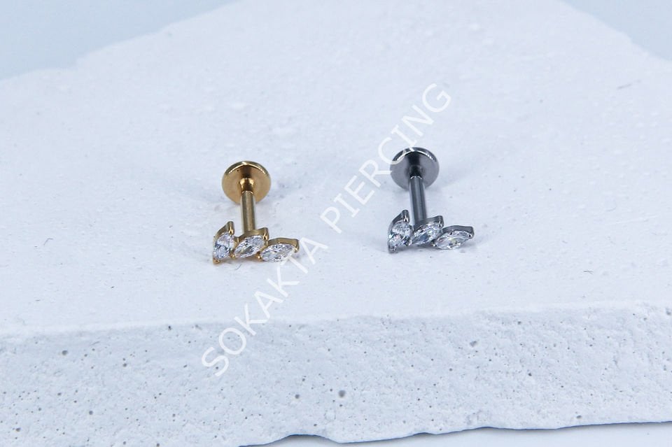M23-24 - TITANIUM TRAGUS