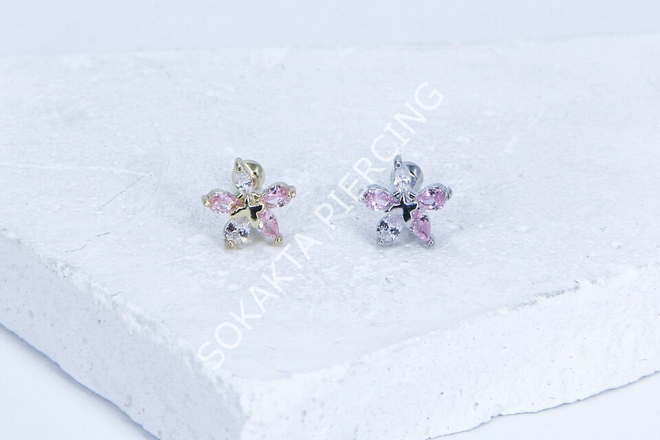 C99 - TRAGUS Gold