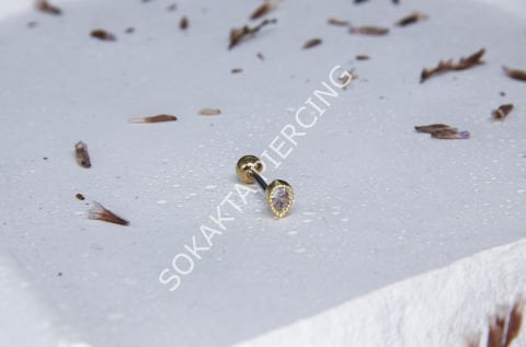 A50 - TRAGUS Silver