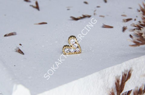 Z42 - TRAGUS