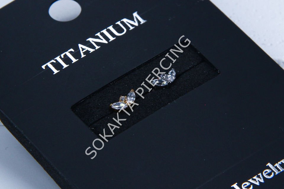 M21-22 - TITANIUM TRAGUS