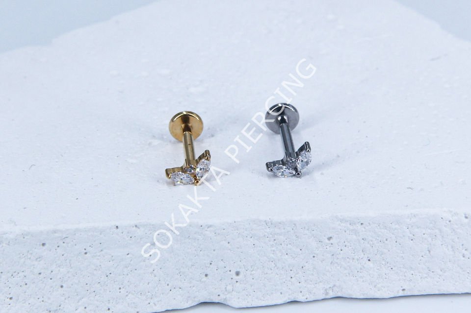 M21-22 - TITANIUM TRAGUS