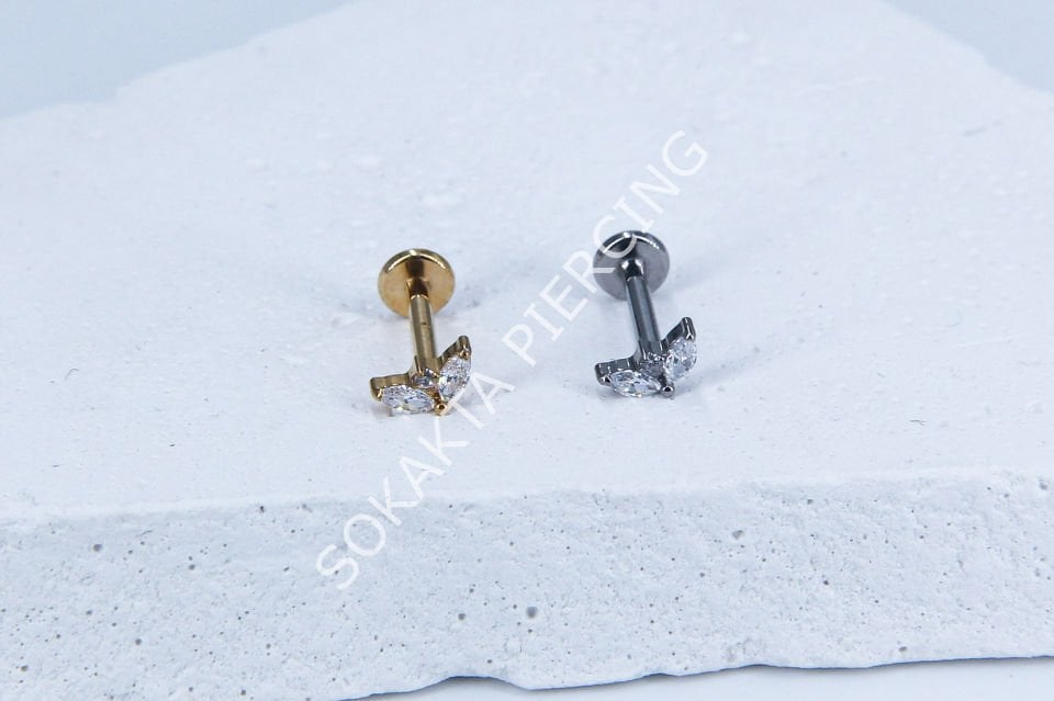 M21-22 - TITANIUM TRAGUS