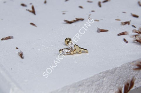 C7 - TRAGUS Silver