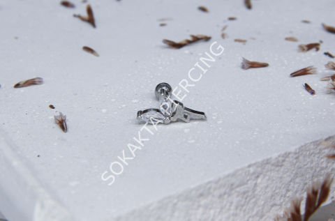 C7 - TRAGUS Silver
