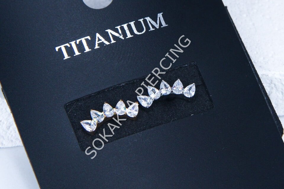 M221 - TITANIUM Silver
