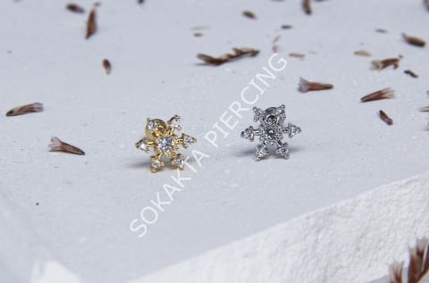 Tragus 209