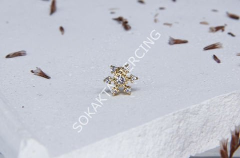 Tragus 209