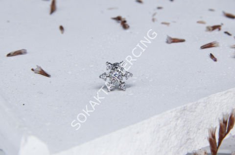 Tragus 209