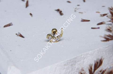 A70 - TRAGUS Silver