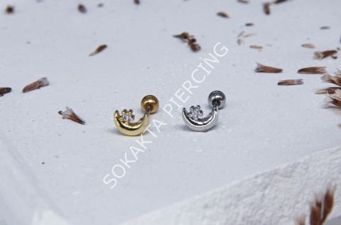 Tragus 214