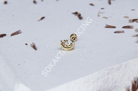 Tragus 214